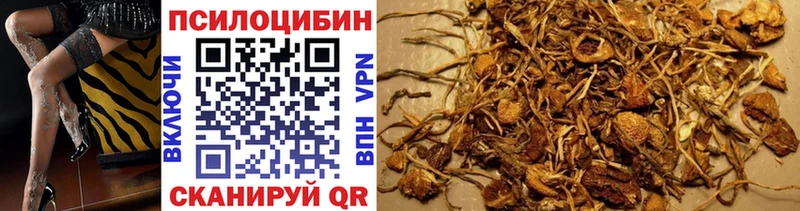 Псилоцибиновые грибы мицелий  продажа наркотиков  mega ссылки  Кохма 