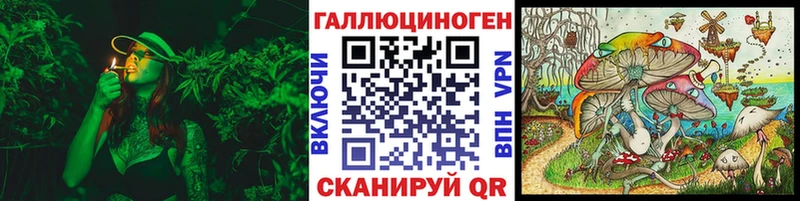 Псилоцибиновые грибы мицелий Кохма